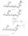 Fig. 03 - Cycloalkyne derivatized saccharides