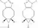 Fig. 35 - Cycloalkyne derivatized saccharides
