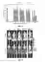 Fig. 07 - Polymeric prodrug of disulfiram and application thereof