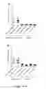 Fig. 06 - Rabies vaccine