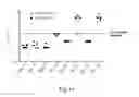 Fig. 14 - Rabies vaccine