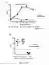 Fig. 15 - Rabies vaccine