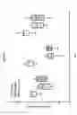 Fig. 06 - MURINE WOUND MODEL FOR TESTING PATHOGEN VIRUENCE AND THERAPEUTIC EFFICACY
