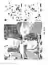 Fig. 05 - Immune-compromised zebrafish