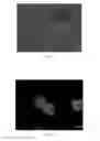 Fig. 08 - Nanobubbles