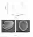 Fig. 12 - Nanobubbles