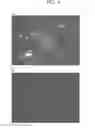Fig. 05 - COMPOSITIONS AND METHODS FOR DETECTING OR ELIMINATING SENESCENT CELLS TO DIAGNOSE OR TREAT DISEASE
