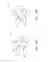 Fig. 16 - THERMAL BACTERIAL DECOLONIZATION
