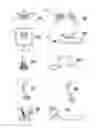 Fig. 04 - SKIN PRINTING AND AUTO-GRAFTING