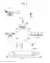 Fig. 03 - SKIN PRINTING AND AUTO-GRAFTING