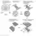 Fig. 01 - Engineered neural tissue