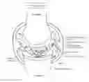 Fig. 01 - Cartilage-damage treatment agent and method for producing same