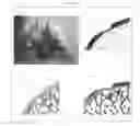 Fig. 04 - Cartilage-damage treatment agent and method for producing same
