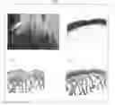 Fig. 05 - Cartilage-damage treatment agent and method for producing same