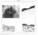 Fig. 06 - Cartilage-damage treatment agent and method for producing same