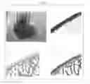 Fig. 09 - Cartilage-damage treatment agent and method for producing same