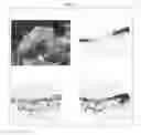 Fig. 12 - Cartilage-damage treatment agent and method for producing same