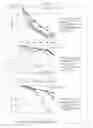 Fig. 28 - Cartilage-damage treatment agent and method for producing same