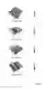 Fig. 04 - OSTEOINDUCTIVE MATERIALS
