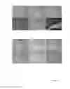 Fig. 13 - OSTEOINDUCTIVE MATERIALS