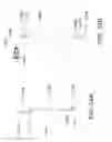 Fig. 18 - Unitary body systems and devices and methods to use the same for retroperfusion