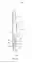 Fig. 31 - Apparatus and methods for self-administration of vaccines and other medicaments