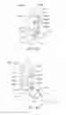 Fig. 46 - Apparatus and methods for self-administration of vaccines and other medicaments