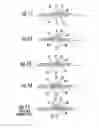 Fig. 06 - Incremental syringe