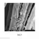 Fig. 03 - ANTIBACTERIAL CATHETER