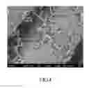 Fig. 05 - ANTIBACTERIAL CATHETER