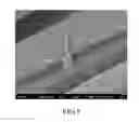 Fig. 06 - ANTIBACTERIAL CATHETER