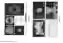 Fig. 21 - Systems and Methods for Composite Dose Quality Assurance with Three-Dimensional Arrays