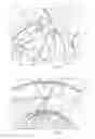 Fig. 04 - Aerial fire-fighting bucket