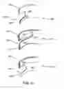 Fig. 12 - LOWER EXTREMITY RECEIVING DEVICE FOR PROVIDING ENHANCED LEG MOBILITY DURING LOWER BODY EXERCISE