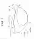 Fig. 02 - GOLF CLUB HEAD