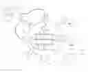 Fig. 01 - Membrane Selective for Alcohols