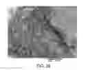 Fig. 30 - Processing biomass