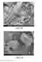 Fig. 34 - Processing biomass