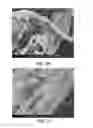 Fig. 35 - Processing biomass