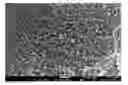 Fig. 01 - METHOD FOR PRODUCING A GRAPHENE