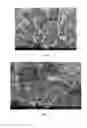Fig. 05 - METHOD FOR PRODUCING A GRAPHENE