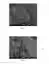 Fig. 02 - Method of manufacturing absorbent material from bird feather