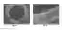 Fig. 05 - Coating methods using organosilica materials and uses thereof