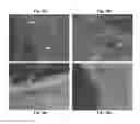 Fig. 11 - Coating methods using organosilica materials and uses thereof