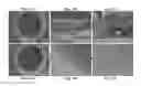 Fig. 13 - Coating methods using organosilica materials and uses thereof