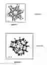 Fig. 06 - HIERARCHICAL ALUMINOPHOSPHATES AS CATALYSTS FOR THE BECKMANN REARRANGEMENT