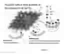 Fig. 08 - HIERARCHICAL ALUMINOPHOSPHATES AS CATALYSTS FOR THE BECKMANN REARRANGEMENT