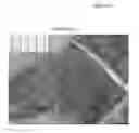 Fig. 20 - HIERARCHICAL ALUMINOPHOSPHATES AS CATALYSTS FOR THE BECKMANN REARRANGEMENT