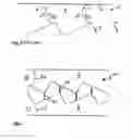 Fig. 03 - Device for the capillary transport of liquids