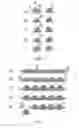 Fig. 04 - Flow cell with an integrated dry substance